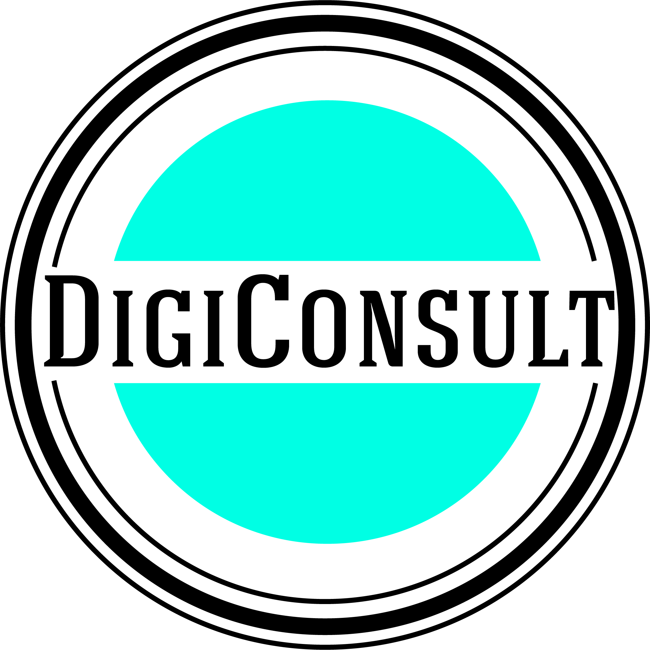 DigiConsult logo